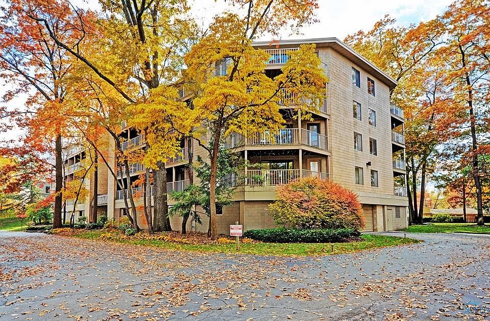 1st image of 3407 Oak Alley Ct APT 504