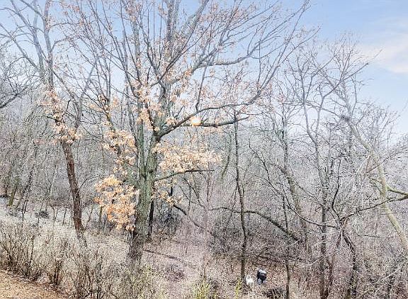 3rd image of 13624 Oakland Dr
