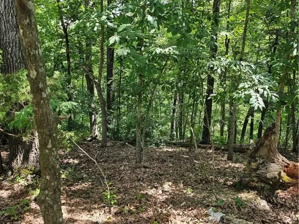 Blueberry Ln, Lowell, AR 72745