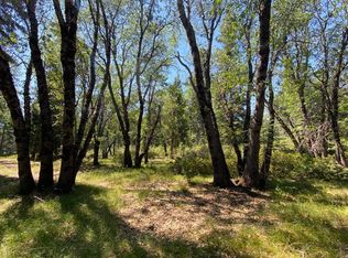 1-C-25 Mount Shasta Dr, McCloud, CA 96057