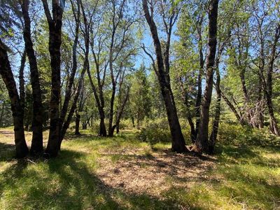 1-C-25 Mount Shasta Dr, McCloud, CA, 96057