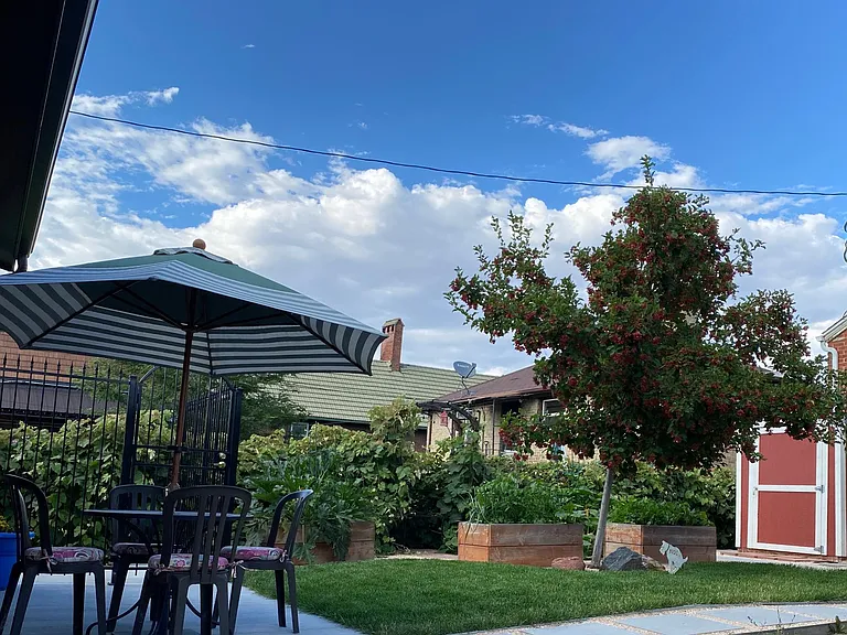 View of garden from the patio