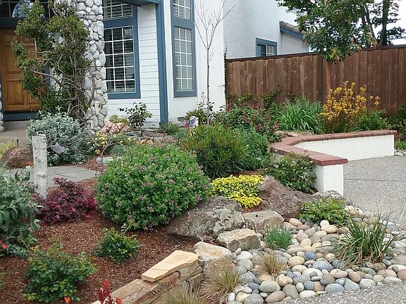 Front Yard