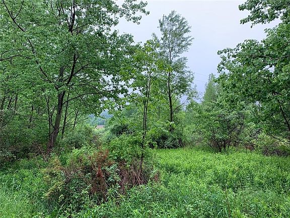 4th image of 8553 County Route 46