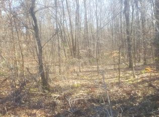 9438 Hopewell Rd, Lizella, GA 31052