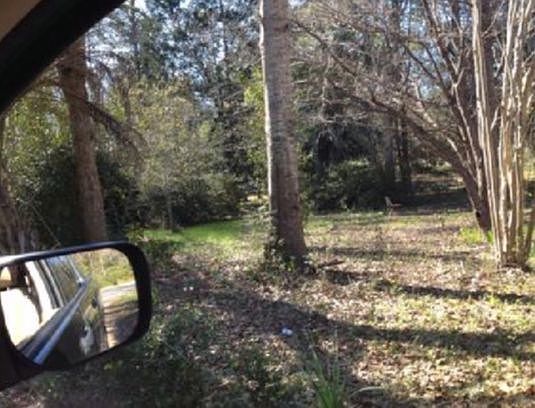 2nd image of 114 Flossie Rd