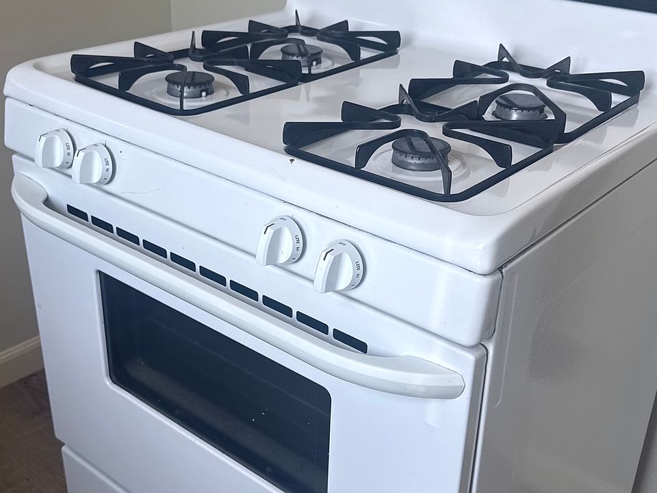 30 inch gas range