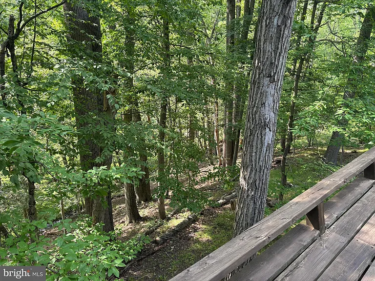 6489 Old Carversville Rd — Photo 13