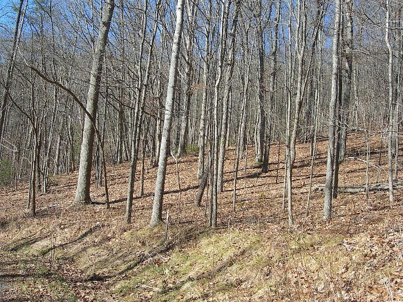 1st image of 261 McDonald Overlook Dr