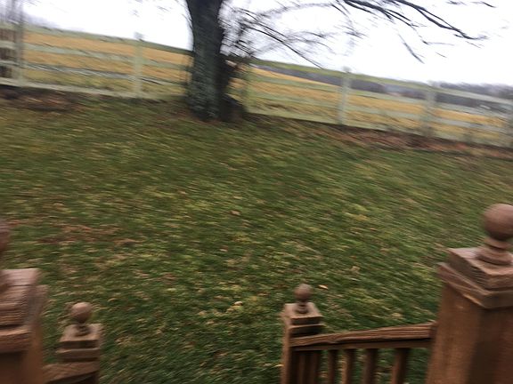 5th image of 56 Park Ln