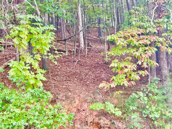 12 Cherokee Trl, Ellijay, GA 30540