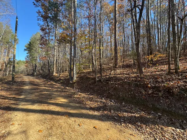 County Road 917, Collinsville, AL 35961