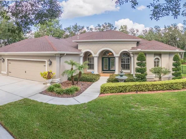 15802 SORAWATER DRIVE, LITHIA, FL 33547