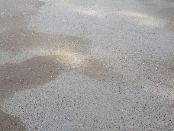 Pressure washed 2 weeks ago