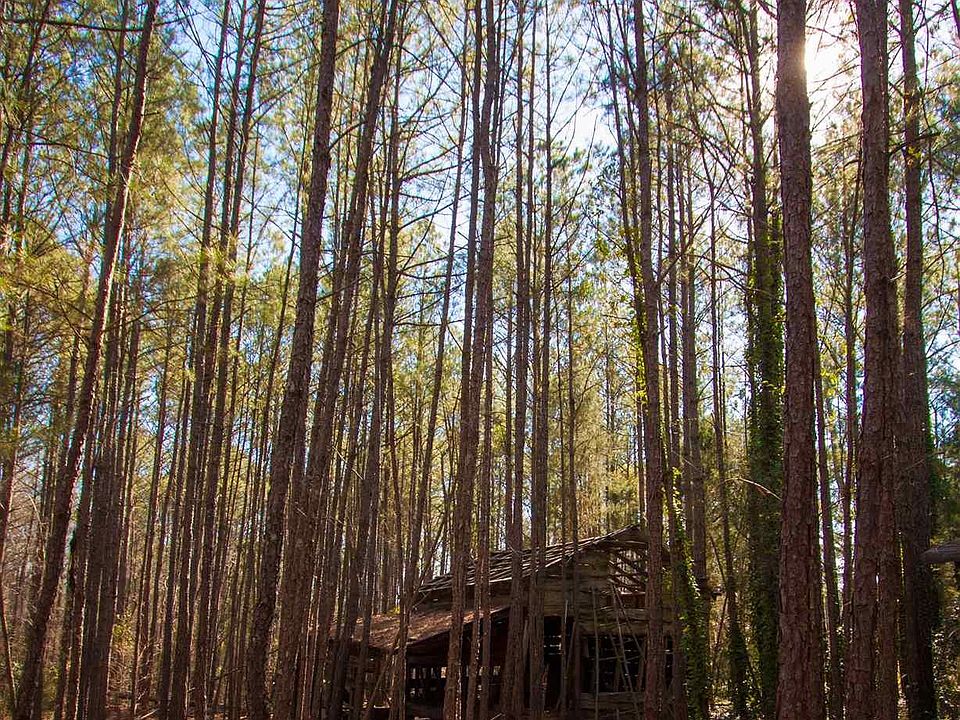 2nd image of 683 Ross Rd