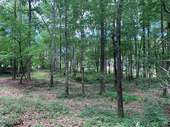 5th image of 135 Oak Forest Dr #68