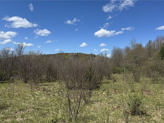 2nd image of Id 47 2 6 Bingham Collins Rd Lot 2