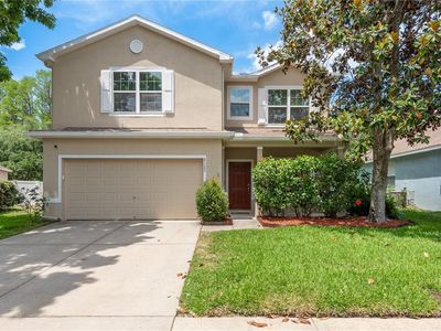 6125 Desert Peace Ave, Land O Lakes, FL, 34639