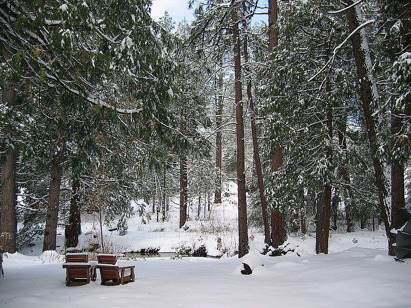 Strawberry Creek from cabin