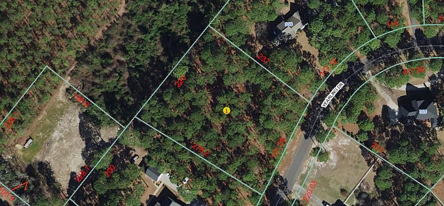 1st image of 310 Yearling Dr