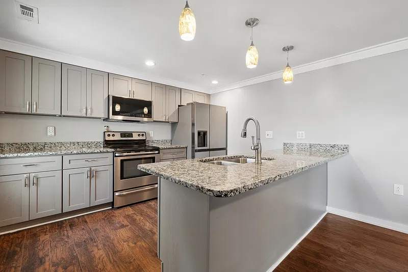 3509 Pleasant Ave #203