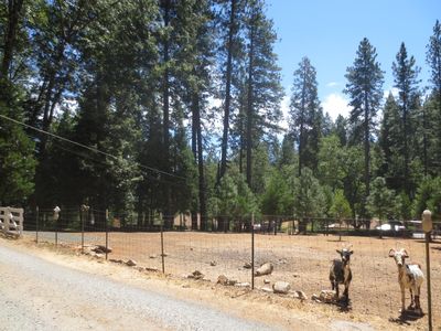 606 Glenwood Rd, Grass Valley, CA, 95945