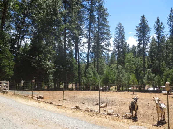 606 Glenwood Rd, Grass Valley, CA 95945