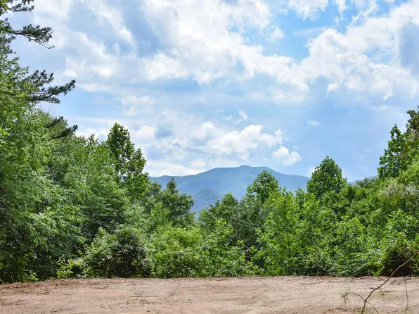 507 Wood Duck Way, Whittier, NC 28789