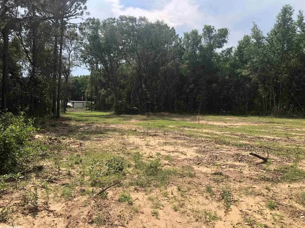 12606 S Saint Francis St, Lillian, AL 36549