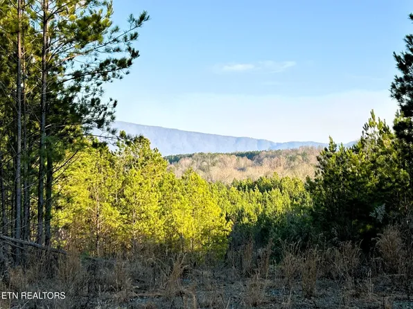 0 Freedom Way Lot 13, Calhoun, TN 37309