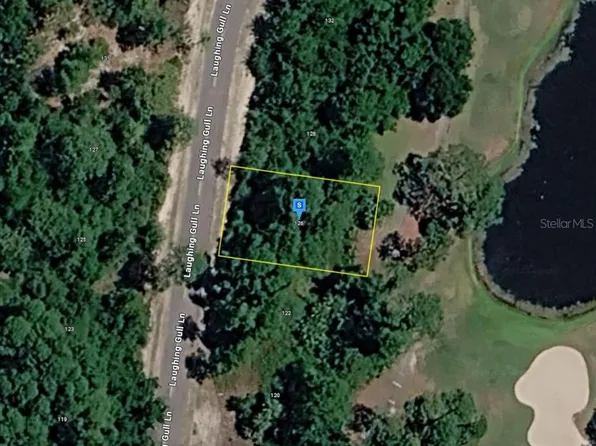 126 Laughing Gull Ln Lot 11, Carrabelle, FL 32322
