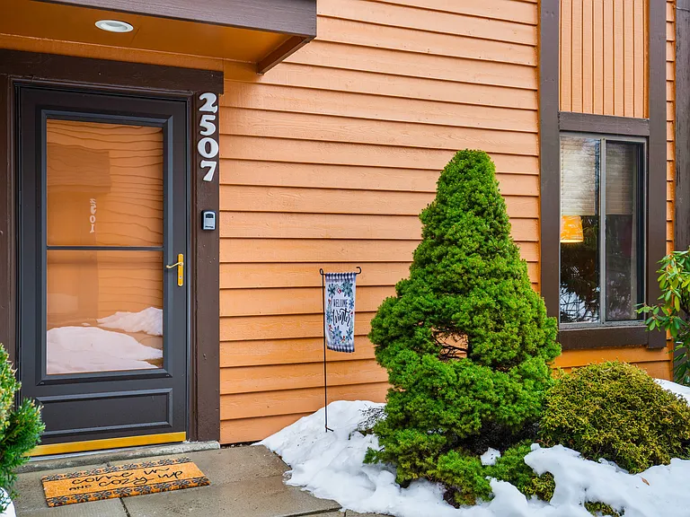 2507 Swiss Mountain Dr #2507 — Photo 23