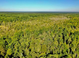 N 29th Rd, Manton, MI 49663