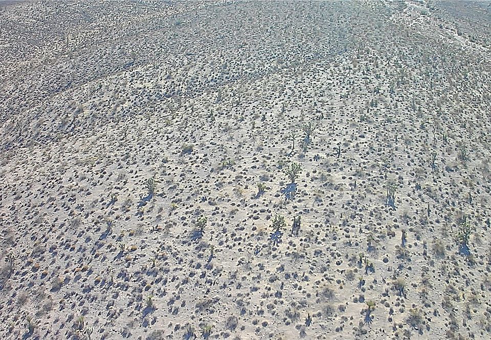 1st image of Lot 113 Pine Avenue