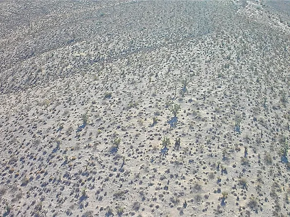 LOT 113 N Pine Ave, Meadview, AZ 86444