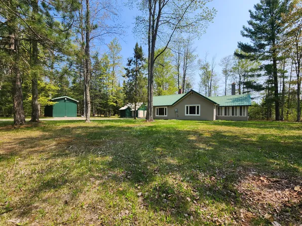 9605 Hoffmeyer Rd, Onaway, MI 49765