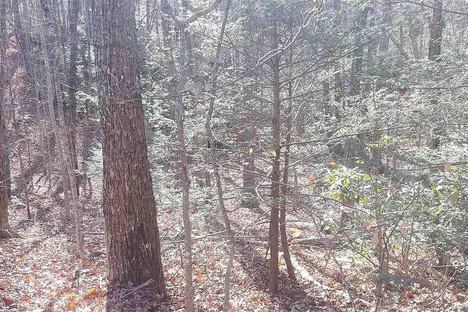 1st image of 13 Deer Path Ln Lot 13