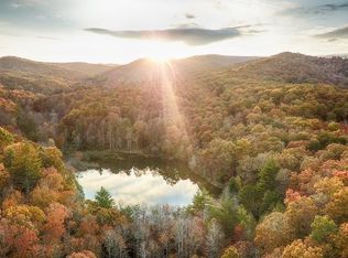 577 Black Ankle Creek Rd, Cherry Log, GA 30522