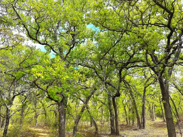 Tbd Turpin Lake Rd, Poolville, TX 76487