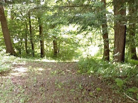 3rd image of 10269 Evans Rd Lot 8
