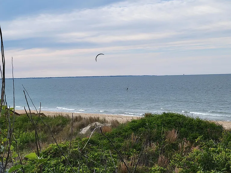 2234 E Ocean View Ave — Photo 15
