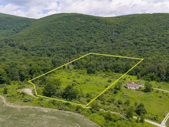 Mountain Edge Lane, Millerton, NY 12546