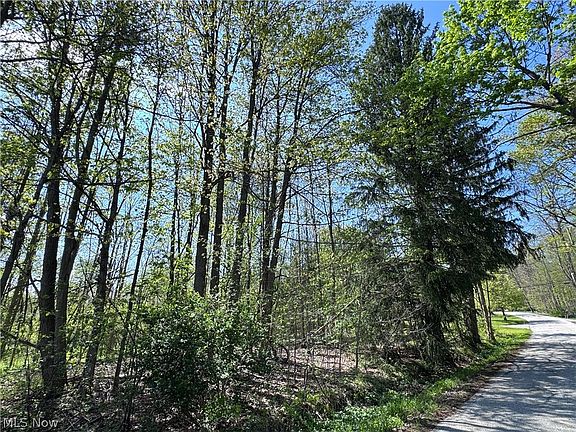 4th image of 11664 Chestnutdale Rd