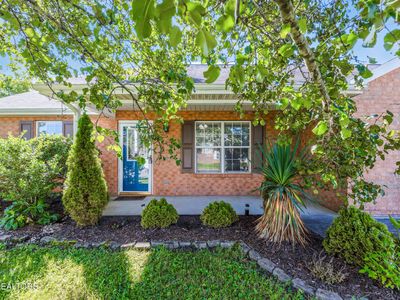 7700 Cotton Patch Rd, Corryton, TN, 37721