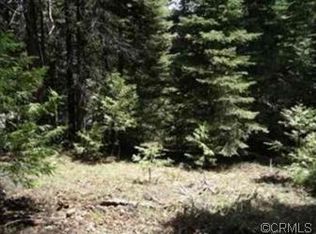 28933 Wood Rd, Pioneer, CA 95666