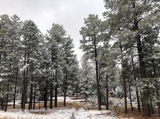 2209 Chevelon Rd, Overgaard, AZ 85933