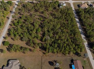 1017 McArthur Ave, Lehigh Acres, FL 33936