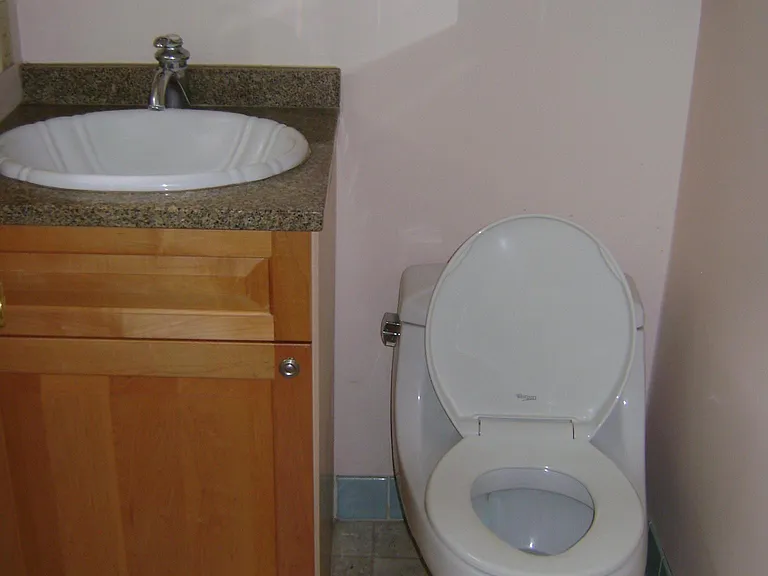 3203 Abbott Morris Ln — Photo 19