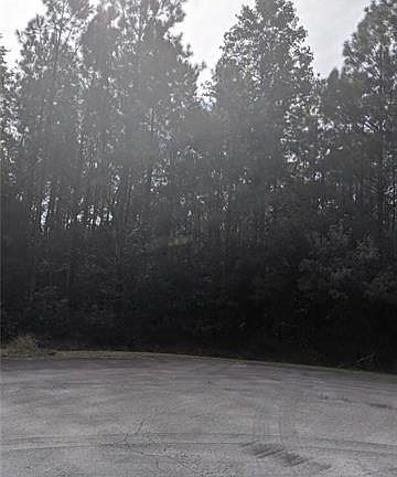 4th image of 910 Hurricane Ct #474