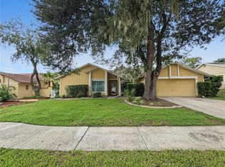 2510 Brimhollow Dr, Valrico, FL 33596